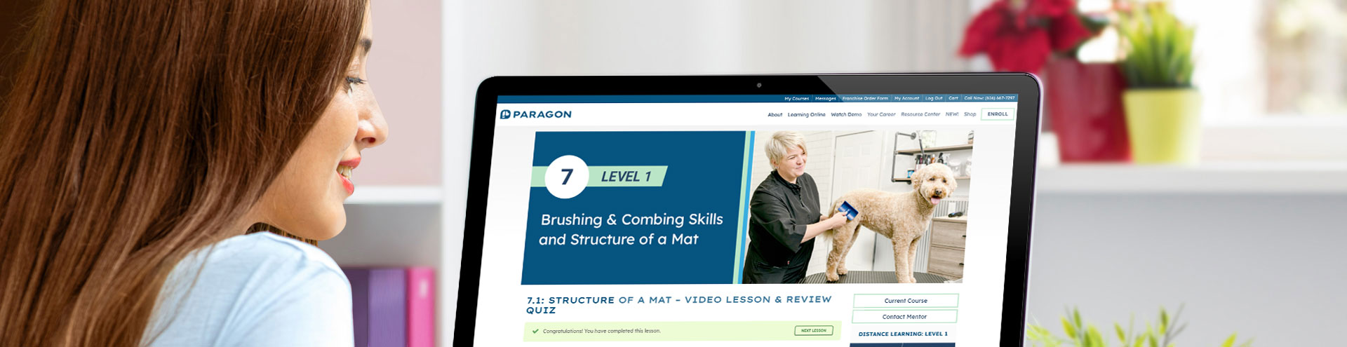 Paragon Pet School -IMPACT Partners Paragon Pet School -IMPACT Partners