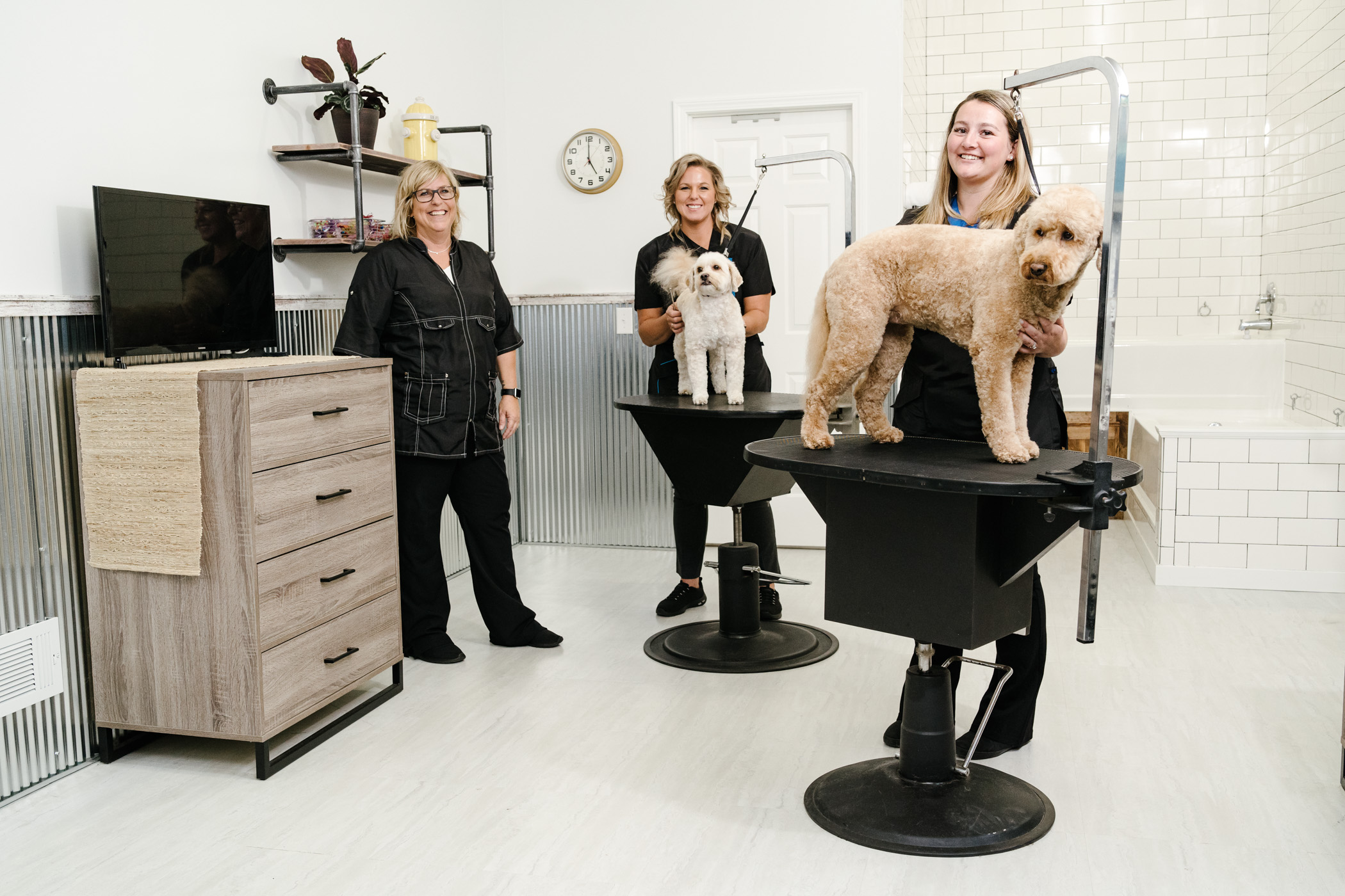 Paragon Pet School -IMPACT Partners Paragon Pet School -IMPACT Partners