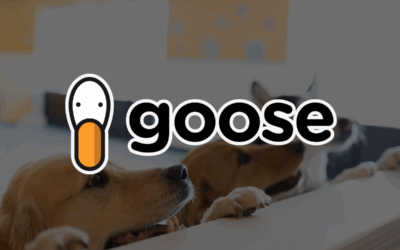 Taking a Gander at Pet Care’s Digital Future