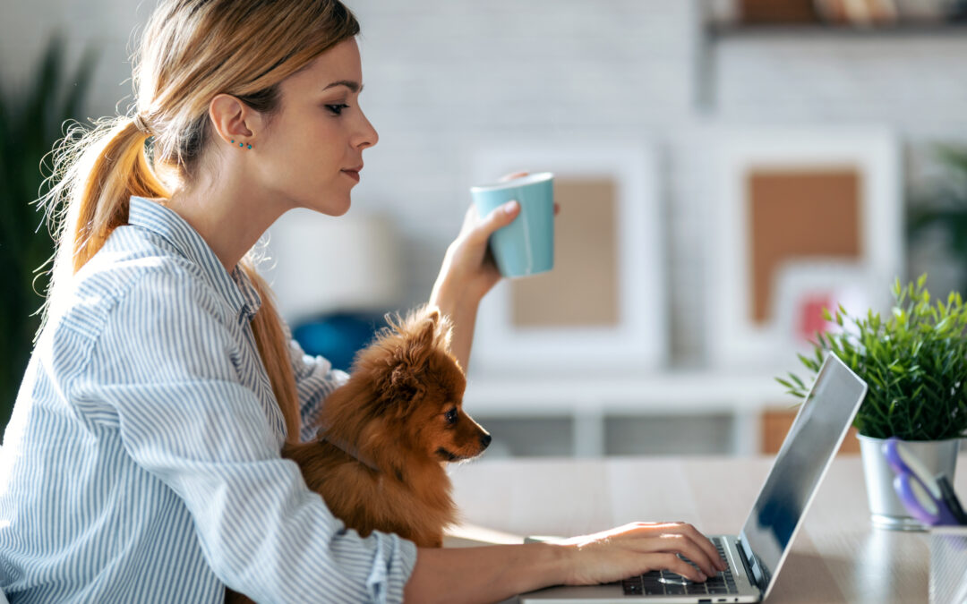 Search Ads for Pet Care: When They Drive the Most Qualified Demand