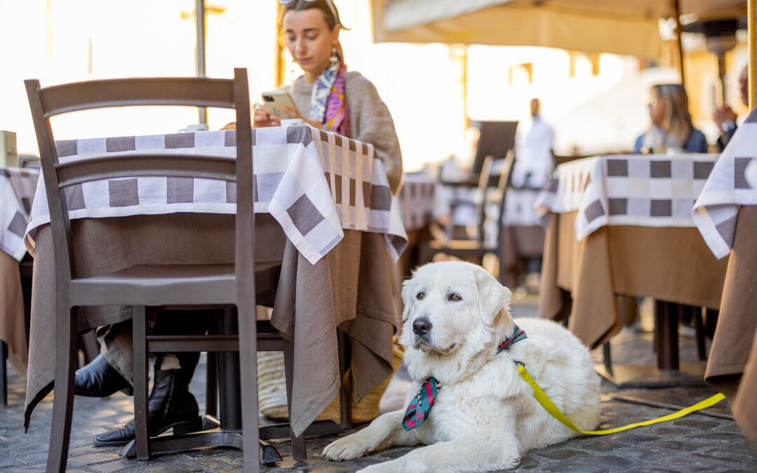LSAs for Pet Care: What They Can Do — And What They Can’t