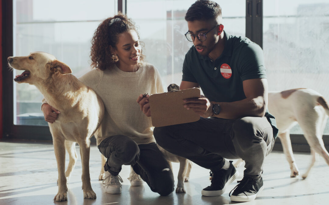 Why More Pet Care Businesses Are Offering Financing for Dog Training