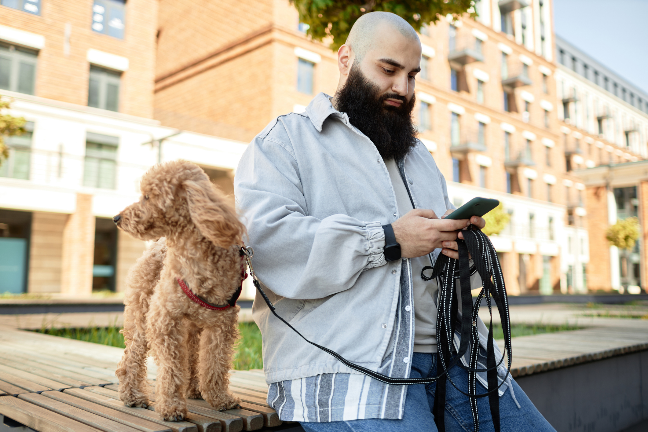A bearded man holds a leash while checking reviews on his smartphone for do-online-reviews-matter blog.